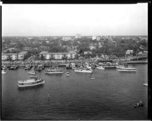 P15391coll1 10776 Medium