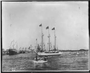 P15391coll1 3799 Medium